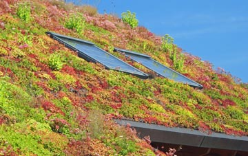 Scatness living roof systems