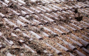 Scatness roof cleaning companies