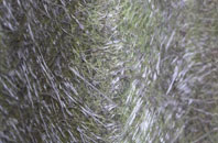 Scatness fibreglass roof work